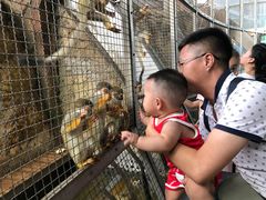 -成都浩海立方海洋公园