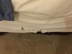 -武汉汉口火车站东方建国大酒店