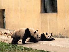 -西安秦岭野生动物园