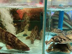 -阿伟海鲜楼·福建菜(延寿店)