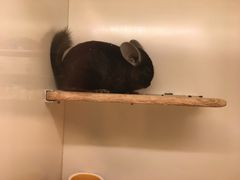 -龙猫仔乐园(惠福东路店)