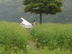 android_upload_pic-广州市石门国家森林公园