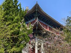 -青岛崂山太清宫