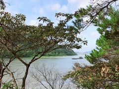 -羚羊峡古栈道森林公园