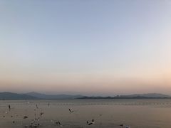 -深圳湾公园(南山区)
