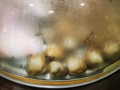 -阿鸡鱼庄·顺德鲜蒸小炒(亚运村店)