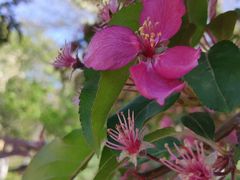 -元大都城垣遗址公园