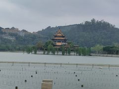 -顺峰山公园