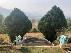 -黄色小屋