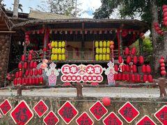 -海南槟榔谷黎苗文化旅游区