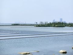 -滆湖低碳生态公园