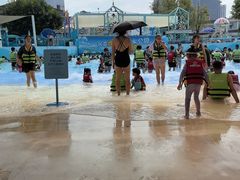 -海合安成都极地海洋公园