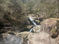 -东天目山风景区