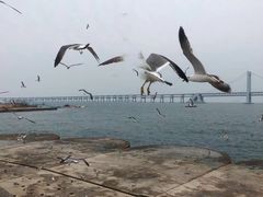 -大连圣亚海洋世界