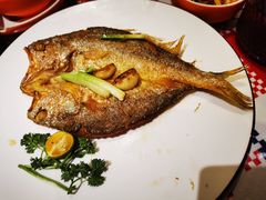 香煎大黄鱼-蚝魁·海鲜大排档·啫啫·生蚝(体育西店)
