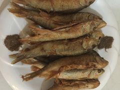 -山香农家宴