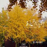 北京｜宝藏北海公园｜赏秋机位推荐