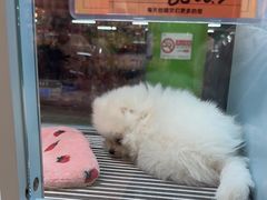 -FAELING PETS美天灵宠物(合生汇店)