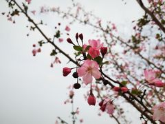 -相门城墙文化休闲景区