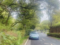 -上海佘山茂御臻品之选酒店(原佘山艾美酒店)