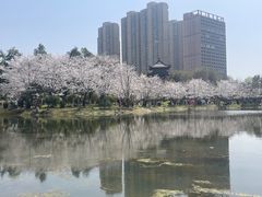 -堤角公园