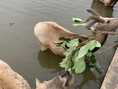 -宁波杭州湾国家湿地公园