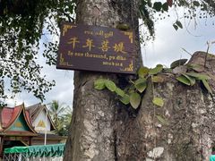 -西双版纳傣族园