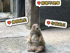 -合肥野生动物园