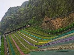-梦幻奥陶纪景区