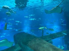 -福州罗源湾海洋世界旅游区