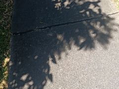 -费瑟代尔野生动物园