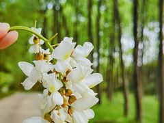 -宜兴龙背山森林公园