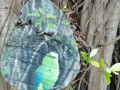 -人民公园(罗湖区)