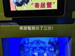 -海合安青岛极地海洋公园