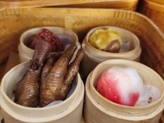 -广州都市观光巴士(粤陶巴)
