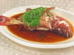 东星斑-四海之家(蛇口店)