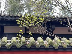 -成都武侯祠博物馆