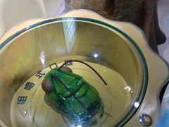 -上海昆虫博物馆