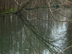 -桤木河湿地公园