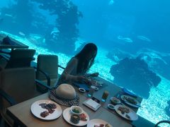 -海棠湾洲际-涛·海底餐厅·美人鱼·自助餐·海底隧道