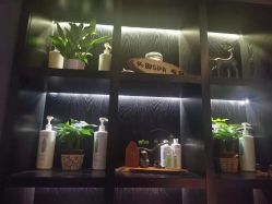 点击看大图 -木北造型