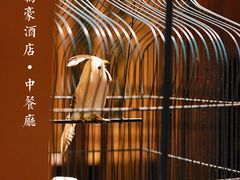 -莲·中餐厅(成都首座万豪酒店)