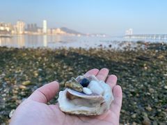 -星海湾跨海大桥