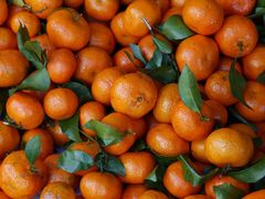 -果叔鲜果(广州广氮花园店)