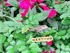 -广州雕塑公园