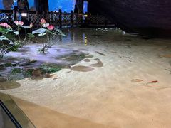 -华夏文旅西安度假区