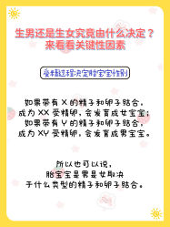-安馨无忧月子中心(青秀店)