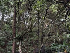 -和顺柏联温泉