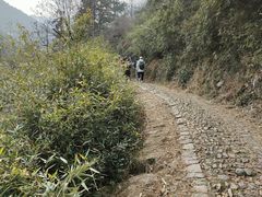 -会稽山峡洞漂流-上青古道