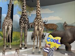 -陕西自然博物馆